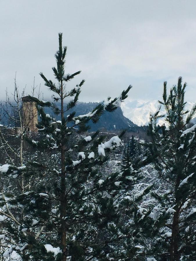 Guesthouse AlpenRose Mestia Eksteriør billede